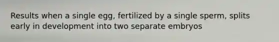 Results when a single egg, fertilized by a single sperm, splits early in development into two separate embryos