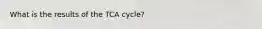 What is the results of the TCA cycle?