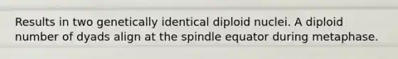 Results in two genetically identical diploid nuclei. A diploid number of dyads align at the spindle equator during metaphase.