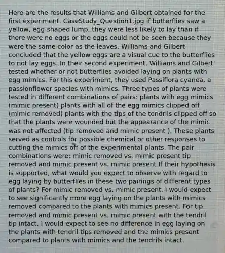 Here are the results that Williams and Gilbert obtained for the first experiment. CaseStudy_Question1.jpg If butterflies saw a yellow, egg-shaped lump, they were less likely to lay than if there were no eggs or the eggs could not be seen because they were the same color as the leaves. Williams and Gilbert concluded that the yellow eggs are a visual cue to the butterflies to not lay eggs. In their second experiment, Williams and Gilbert tested whether or not butterflies avoided laying on plants with egg mimics. For this experiment, they used Passiflora cyanea, a passionflower species with mimics. Three types of plants were tested in different combinations of pairs: plants with egg mimics (mimic present) plants with all of the egg mimics clipped off (mimic removed) plants with the tips of the tendrils clipped off so that the plants were wounded but the appearance of the mimic was not affected (tip removed and mimic present ). These plants served as controls for possible chemical or other responses to cutting the mimics off of the experimental plants. The pair combinations were: mimic removed vs. mimic present tip removed and mimic present vs. mimic present If their hypothesis is supported, what would you expect to observe with regard to egg laying by butterflies in these two pairings of different types of plants? For mimic removed vs. mimic present, I would expect to see significantly more egg laying on the plants with mimics removed compared to the plants with mimics present. For tip removed and mimic present vs. mimic present with the tendril tip intact, I would expect to see no difference in egg laying on the plants with tendril tips removed and the mimics present compared to plants with mimics and the tendrils intact.