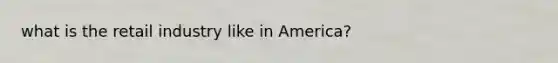 what is the retail industry like in America?