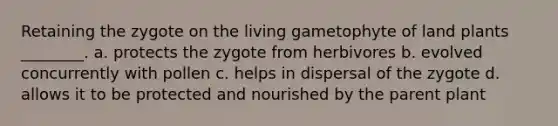 Retaining the zygote on the living gametophyte of land plants ________. a. protects the zygote from herbivores b. evolved concurrently with pollen c. helps in dispersal of the zygote d. allows it to be protected and nourished by the parent plant