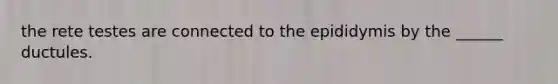 the rete testes are connected to the epididymis by the ______ ductules.
