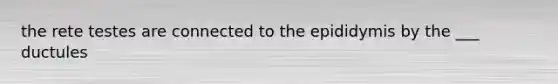 the rete testes are connected to the epididymis by the ___ ductules