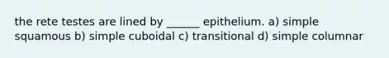 the rete testes are lined by ______ epithelium. a) simple squamous b) simple cuboidal c) transitional d) simple columnar