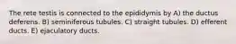 The rete testis is connected to the epididymis by A) the ductus deferens. B) seminiferous tubules. C) straight tubules. D) efferent ducts. E) ejaculatory ducts.