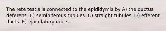 The rete testis is connected to the epididymis by A) the ductus deferens. B) seminiferous tubules. C) straight tubules. D) efferent ducts. E) ejaculatory ducts.