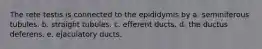 The rete testis is connected to the epididymis by a. seminiferous tubules. b. straight tubules. c. efferent ducts. d. the ductus deferens. e. ejaculatory ducts.