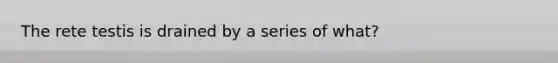 The rete testis is drained by a series of what?