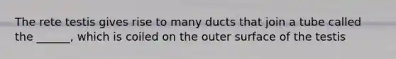 The rete testis gives rise to many ducts that join a tube called the ______, which is coiled on the outer surface of the testis