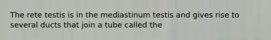 The rete testis is in the mediastinum testis and gives rise to several ducts that join a tube called the