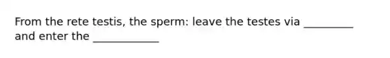 From the rete testis, the sperm: leave the testes via _________ and enter the ____________