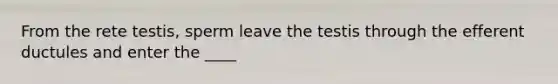 From the rete testis, sperm leave the testis through the efferent ductules and enter the ____