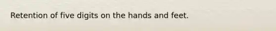 Retention of five digits on the hands and feet.