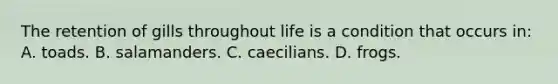 The retention of gills throughout life is a condition that occurs in: A. toads. B. salamanders. C. caecilians. D. frogs.