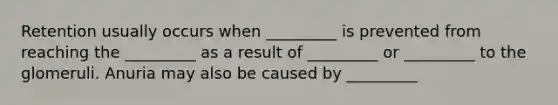 Retention usually occurs when _________ is prevented from reaching the _________ as a result of _________ or _________ to the glomeruli. Anuria may also be caused by _________