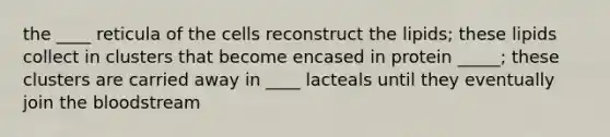 the ____ reticula of the cells reconstruct the lipids; these lipids collect in clusters that become encased in protein _____; these clusters are carried away in ____ lacteals until they eventually join <a href='https://www.questionai.com/knowledge/k7oXMfj7lk-the-blood' class='anchor-knowledge'>the blood</a>stream