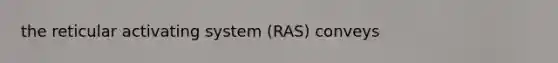 the reticular activating system (RAS) conveys