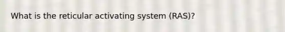 What is the reticular activating system (RAS)?