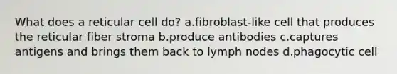 What does a reticular cell do? a.fibroblast-like cell that produces the reticular fiber stroma b.produce antibodies c.captures antigens and brings them back to lymph nodes d.phagocytic cell