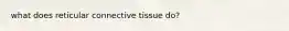 what does reticular connective tissue do?
