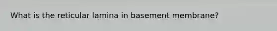 What is the reticular lamina in basement membrane?