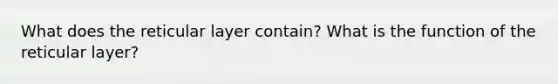 What does the reticular layer contain? What is the function of the reticular layer?