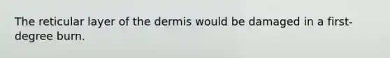 The reticular layer of the dermis would be damaged in a first-degree burn.