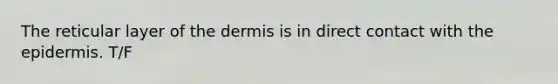 The reticular layer of <a href='https://www.questionai.com/knowledge/kEsXbG6AwS-the-dermis' class='anchor-knowledge'>the dermis</a> is in direct contact with <a href='https://www.questionai.com/knowledge/kBFgQMpq6s-the-epidermis' class='anchor-knowledge'>the epidermis</a>. T/F