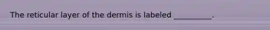 The reticular layer of the dermis is labeled __________.