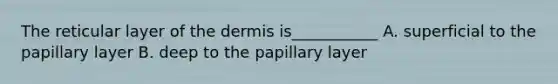 The reticular layer of the dermis is___________ A. superficial to the papillary layer B. deep to the papillary layer