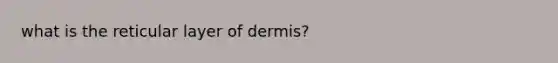 what is the reticular layer of dermis?