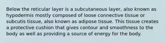 Below the reticular layer is a subcutaneous layer, also known as hypodermis mostly composed of loose connective tissue or subcutis tissue, also known as adipose tissue. This tissue creates a protective cushion that gives contour and smoothness to the body as well as providing a source of energy for the body.