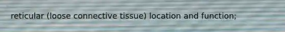 reticular (loose connective tissue) location and function;