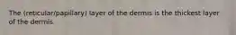 The (reticular/papillary) layer of the dermis is the thickest layer of the dermis.