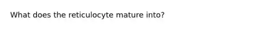 What does the reticulocyte mature into?