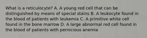 What is a reticulocyte? A. A young red cell that can be distinguished by means of special stains B. A leukocyte found in the blood of patients with leukemia C. A primitive white cell found in the bone marrow D. A large abnormal red cell found in the blood of patients with pernicious anemia