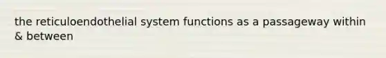 the reticuloendothelial system functions as a passageway within & between