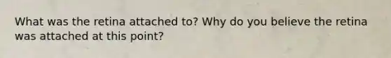 What was the retina attached to? Why do you believe the retina was attached at this point?