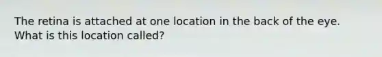 The retina is attached at one location in the back of the eye. What is this location called?