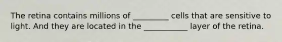 The retina contains millions of _________ cells that are sensitive to light. And they are located in the ___________ layer of the retina.