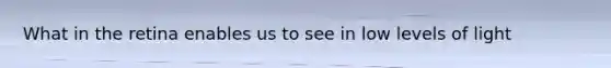 What in the retina enables us to see in low levels of light