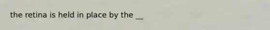 the retina is held in place by the __