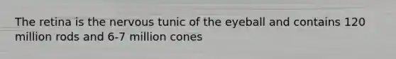 The retina is the nervous tunic of the eyeball and contains 120 million rods and 6-7 million cones