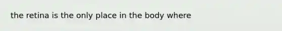 the retina is the only place in the body where