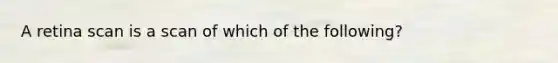 A retina scan is a scan of which of the following?