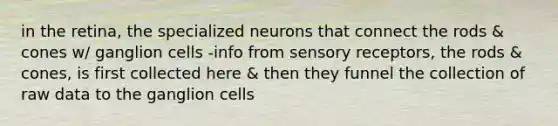 in the retina, the specialized neurons that connect the rods & cones w/ ganglion cells -info from sensory receptors, the rods & cones, is first collected here & then they funnel the collection of raw data to the ganglion cells