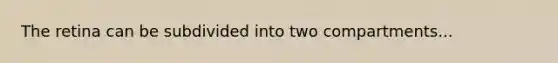 The retina can be subdivided into two compartments...
