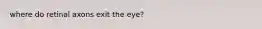 where do retinal axons exit the eye?