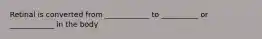 Retinal is converted from ____________ to __________ or ____________ in the body
